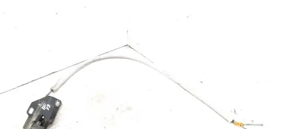 Loading door lock