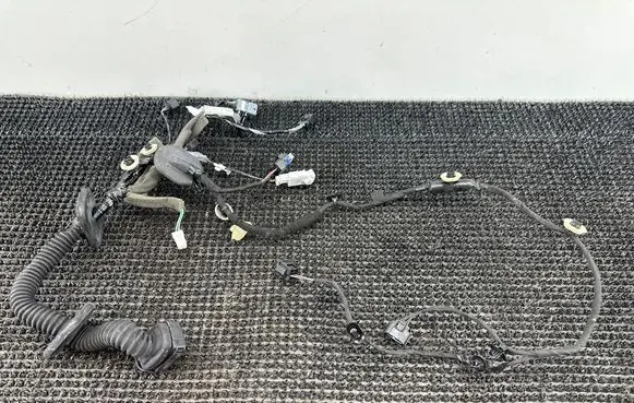 Renault Scenic IV - Grand scenic IV Front door wiring loom 241244003R
