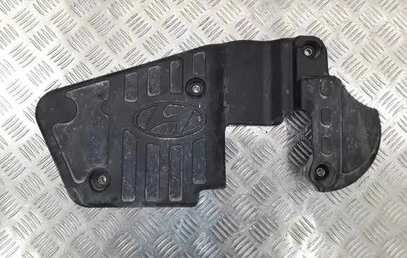 Hyundai ix 55 Engine cover (trim) 213803A000