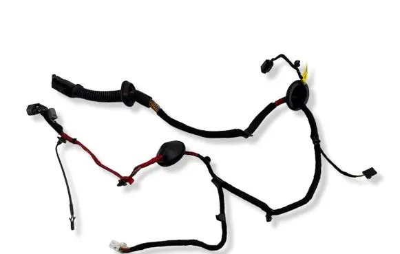Rear door wiring loom