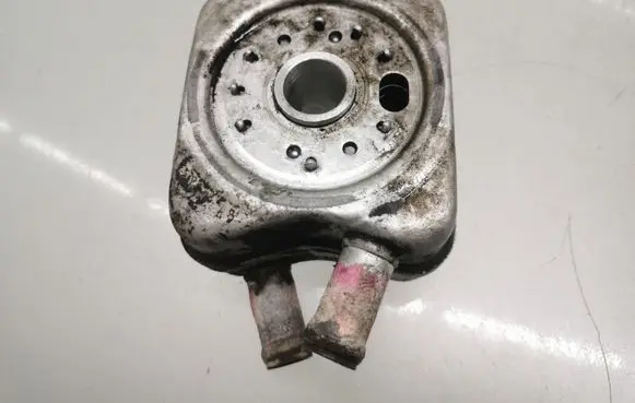 Skoda Octavia Mk2 (1Z) Oil filter mounting bracket 028117021
