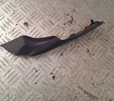 Citroen C4 Cactus Windshield trim 9804826780