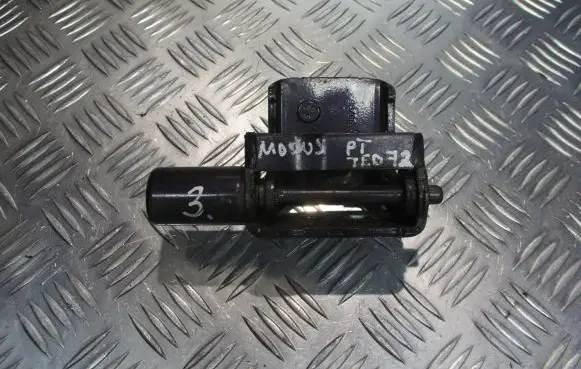 Renault Modus Rear door hinge set 
