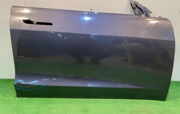 Tesla Model 3 Front door