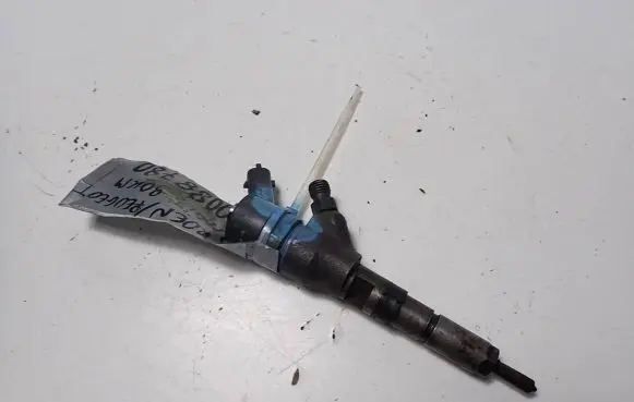 Citroen Berlingo Fuel injector 9640088780