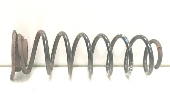 Rear coil spring