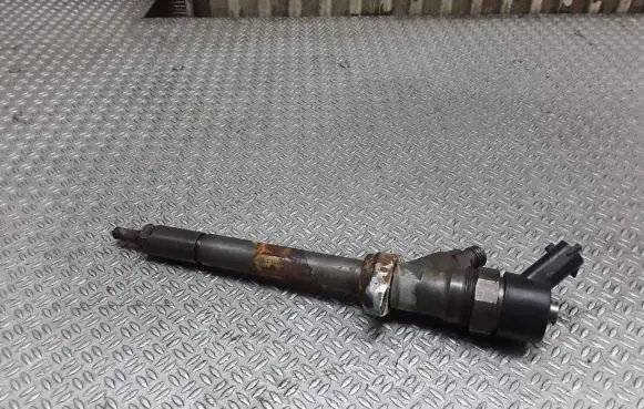 Citroen C8 Fuel injector 9653344880