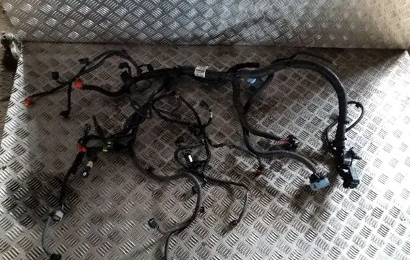 Nissan Juke I F15 Engine installation wiring loom 240111KB0B