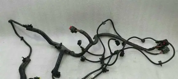 Tesla Model S Other wiring loom 100443005S