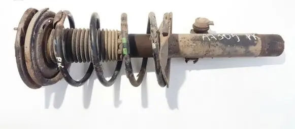 Peugeot 206 Front shock absorber/damper
