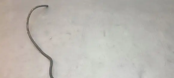BMW 3 E46 Fuel return line/hose 