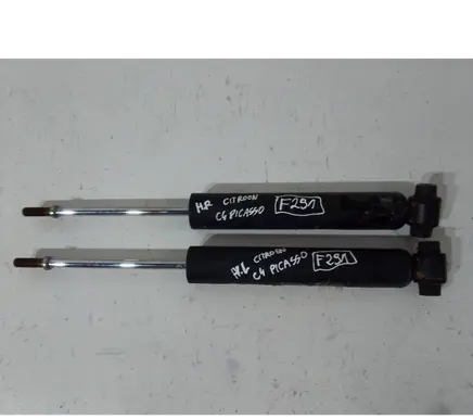 Citroen C4 II Picasso Rear shock absorber/damper 03091000844
