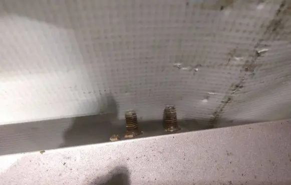 Tailgate/trunk/boot hinge