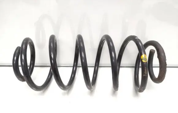 Rear coil spring
