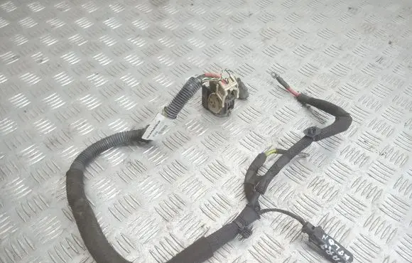 Citroen C3 Picasso Other wiring loom 9670796480
