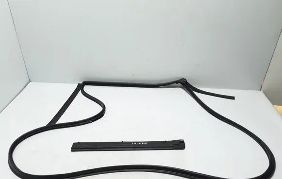 Renault Kadjar Rubber seal rear door 769236687R
