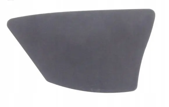 Mercedes-Benz CLS C218 X218 Other rear door trim element A2197300548