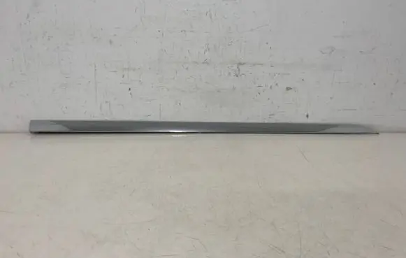 Volkswagen Tiguan Front door trim bar 5NA853332A