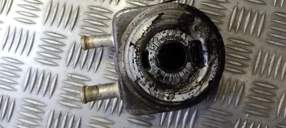 Peugeot 406 Engine oil radiator 9637319180