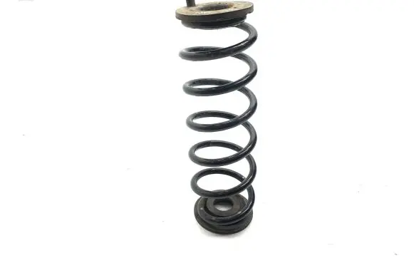 Volkswagen PASSAT B6 Rear coil spring