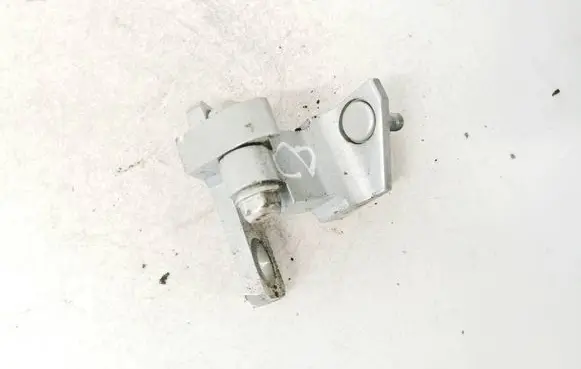 Volkswagen Phaeton Rear door lower hinge 3d483342b