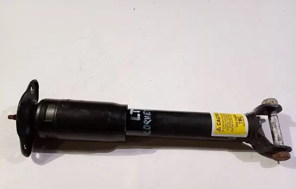 Chevrolet Corvette C5 Rear shock absorber/damper 10416669