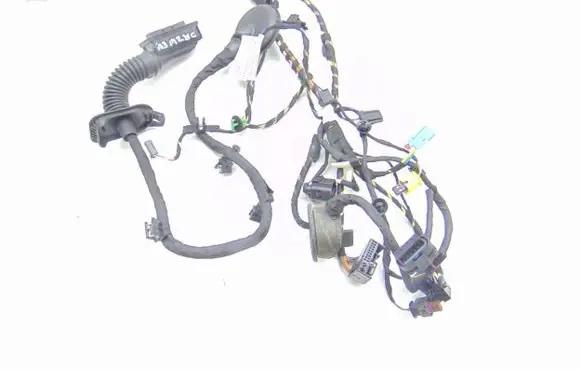 Audi R8 4S Front door wiring loom 4S8971030C