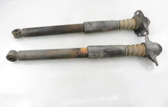 Volkswagen Tiguan Rear shock absorber/damper 