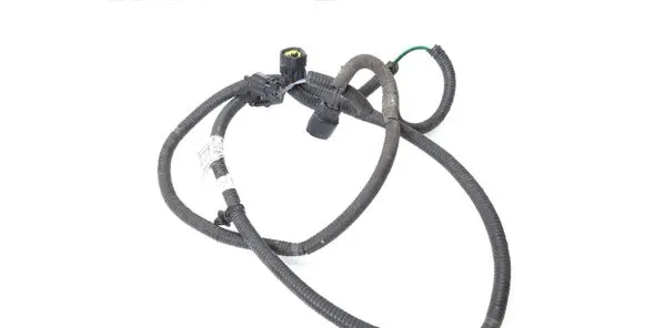 KIA Carens III Other wiring loom 91840A4010