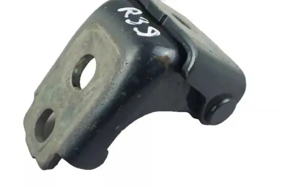 Renault Clio IV Rear door lower hinge 804200003RM