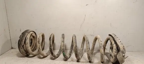Ford Kuga II Rear coil spring