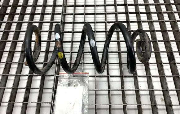 Renault Arkana Rear coil spring 