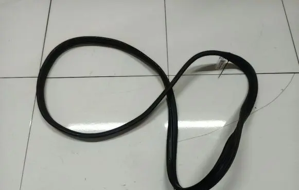 Renault Clio III Rubber seal rear door 