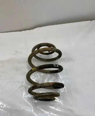 Rear coil spring