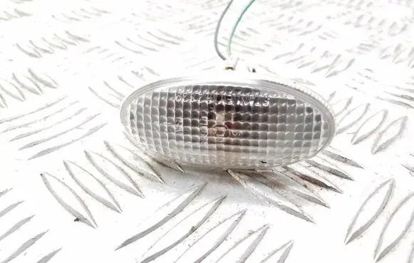 Front fender indicator light