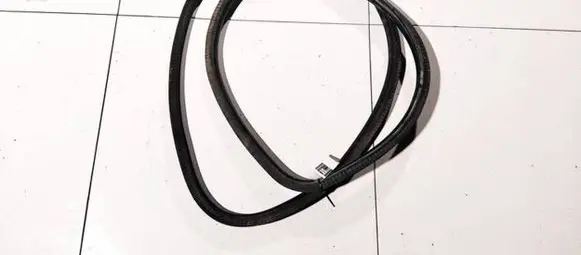 Skoda Octavia Mk2 (1Z) Rubber seal front coupe door 1z0867365