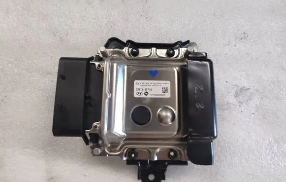 Hyundai Santa Fe Other control units/modules 296102FFX5 0281035547 1039T25556
