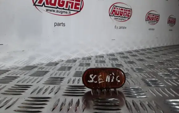 Front fender indicator light