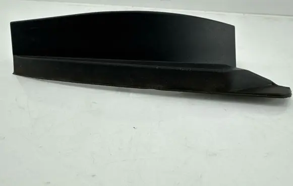 Rear/tail light trim molding