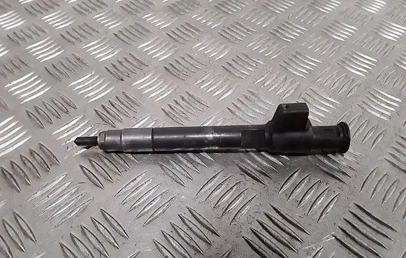 Peugeot Boxer Fuel injector 9824388280 28657626