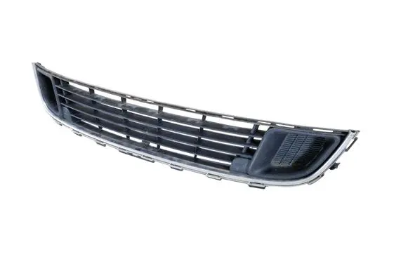 Front bumper lower grill