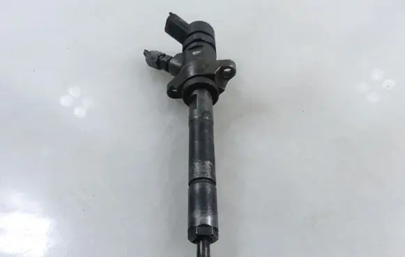 Peugeot Partner Fuel injector 0445110259