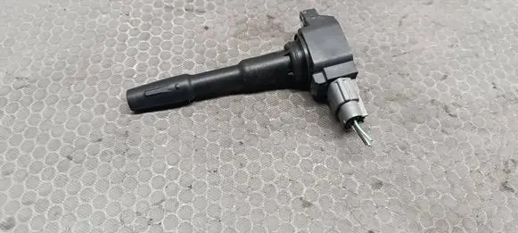 Dacia Sandero II High voltage ignition coil 224332428R 443C51216