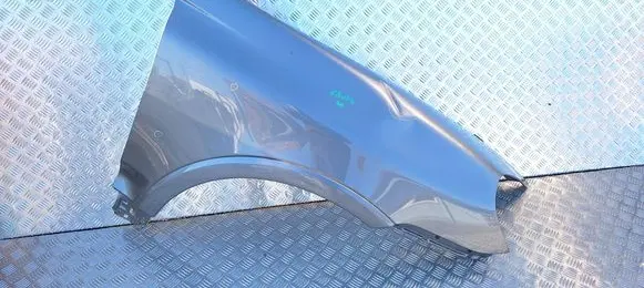 Porsche Cayenne (9PA) Fender