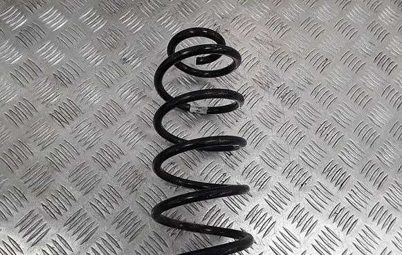 Ford Puma Rear coil spring L1TC5560BEA