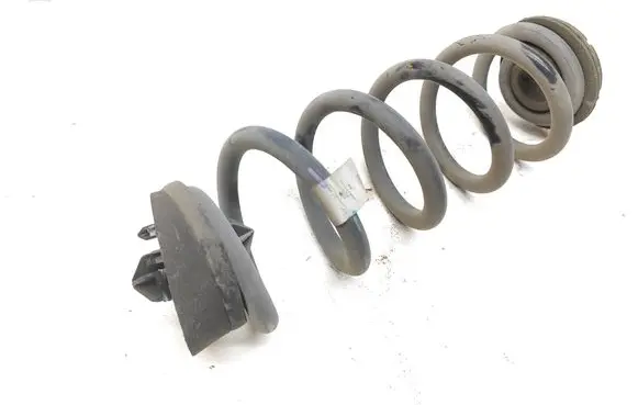 Rear coil spring