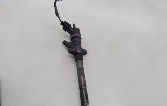 Citroen C8 Fuel injector 0445110036