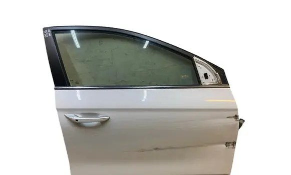 Hyundai Ioniq Front door