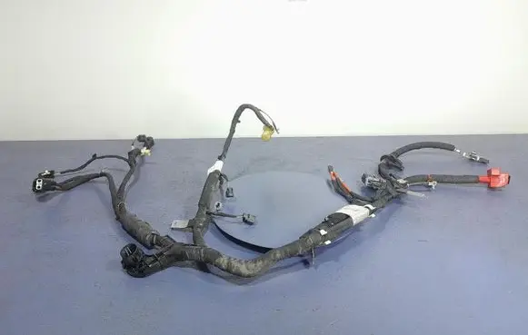 Other wiring loom