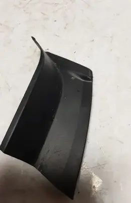 Rear/tail light trim molding